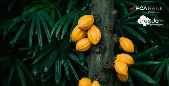 FCA-Bank_Treedom