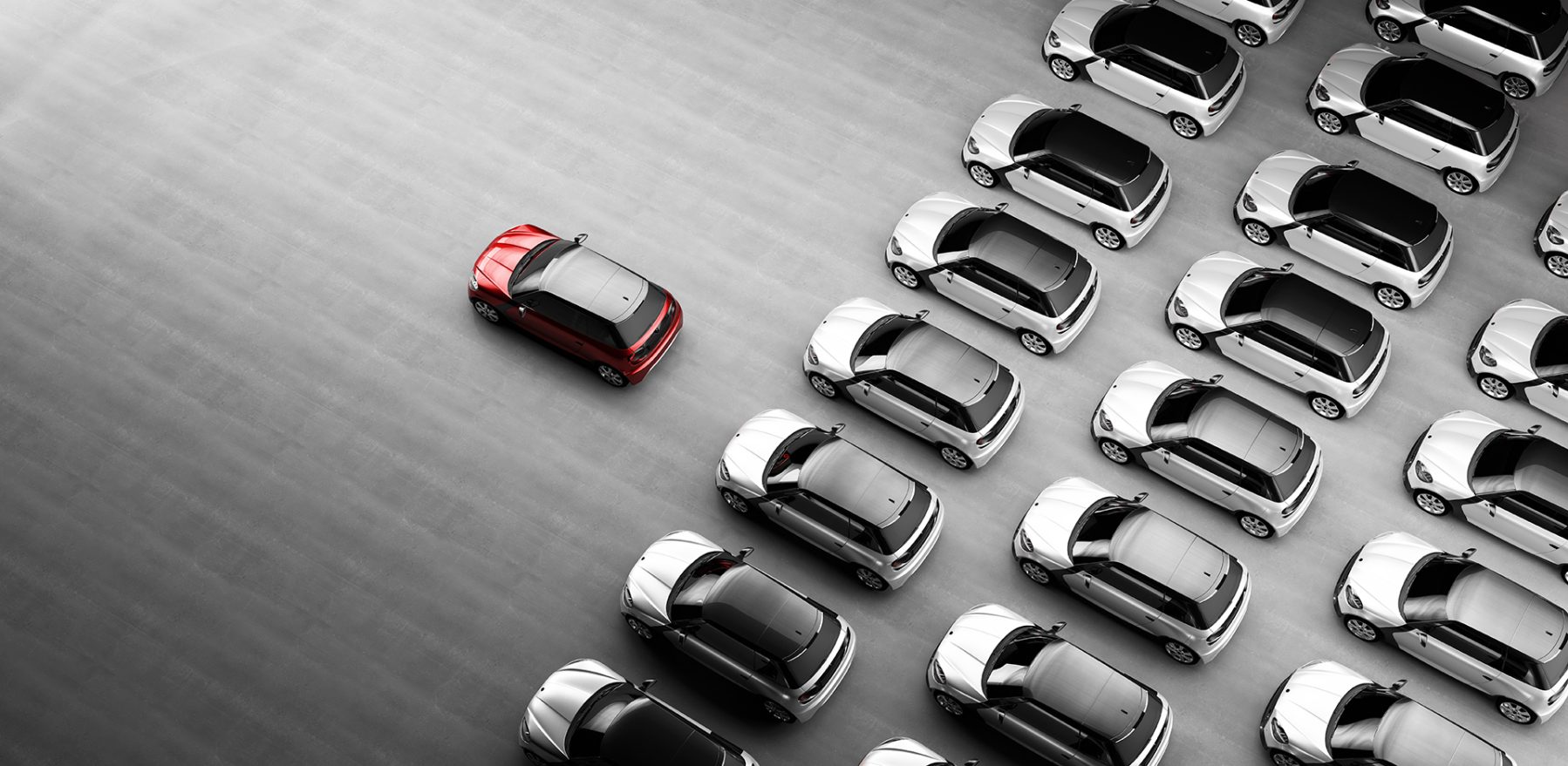fleet cars