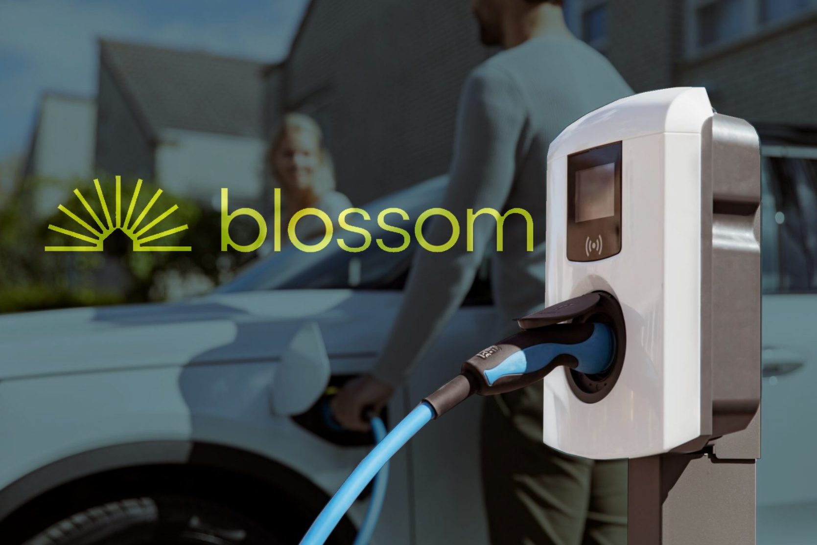 Blossom