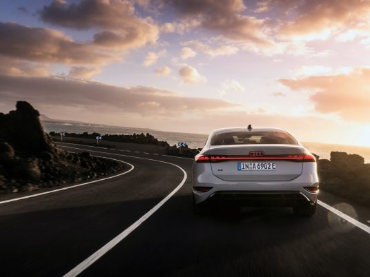 Dynamic photo,
Colour: Siam beige metallic