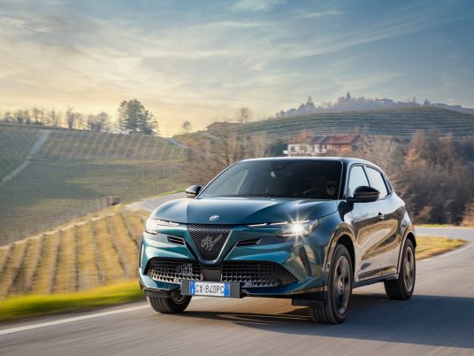 Junior Ibrida Q4 (18)