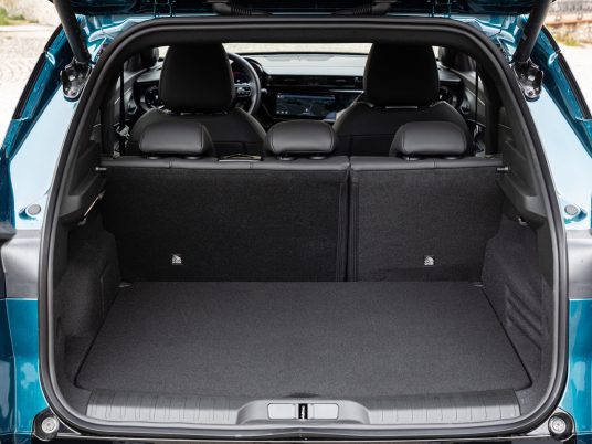 Junior Ibrida Q4 (5)