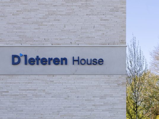 D Ieteren House_23