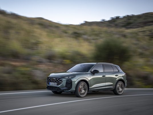 Dynamic photo, Colour: Sage green