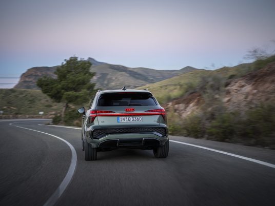 Dynamic photo, Colour: Sage green