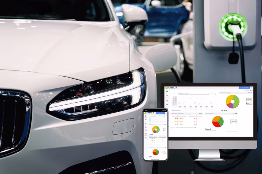 Opinion leader - Targa Telematics : “Telematica helpt om de kosten te verlagen”