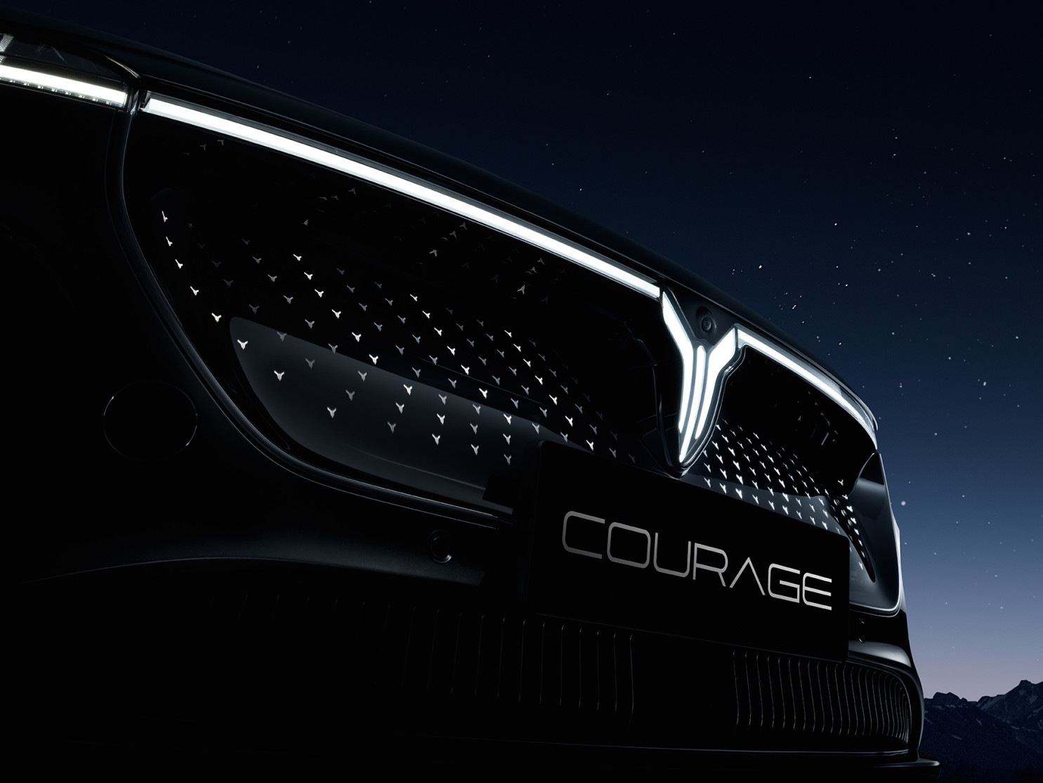 COURAGE Star Language Grid-lowres