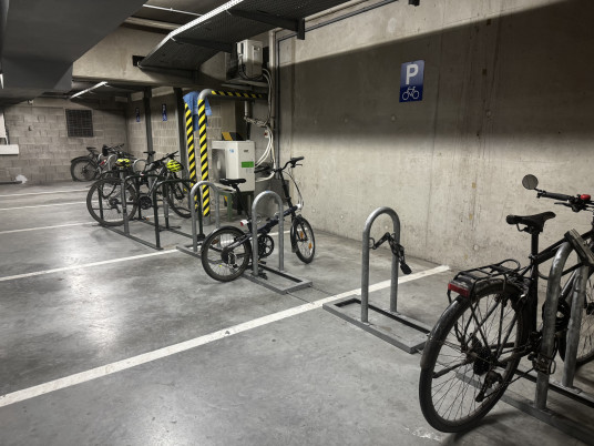 Laetitia Van Hecke-Worldline_4