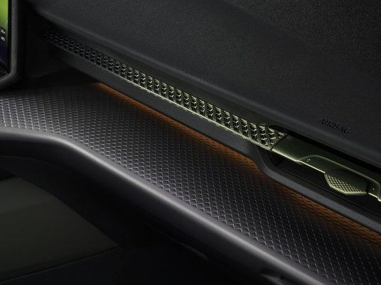 13_CUPRA Raval Manganese Matt_ld