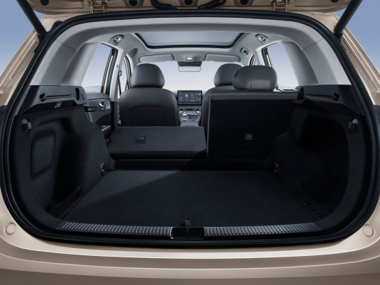 Trunk-folded-at-the-rear